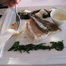 La cuisine de Philippe Vételé : Turbot sauvage à la plancha, coquillages de la Côte, émulsion de boucaults de pays. (les boucaults ou boucauts :  nom donné aux crevettes dans l'ouest de la France)