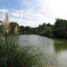 Le lac, rive nord. A gauche, les immeubles de la rue Gazan qui bénéficient de la vue sur le parc Montsouris