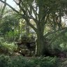 Comme dans tous les conçus aux XIXe siècle, on trouve dans le parc Montsouris des rusticages et des rocaillages. L'art de façonner le béton en faux bois pour les rambardes, en faux rochers pour créer des rocailles et des grottes, était très en vogue à l'époque. 