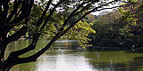 parc_montsouris_le_lac